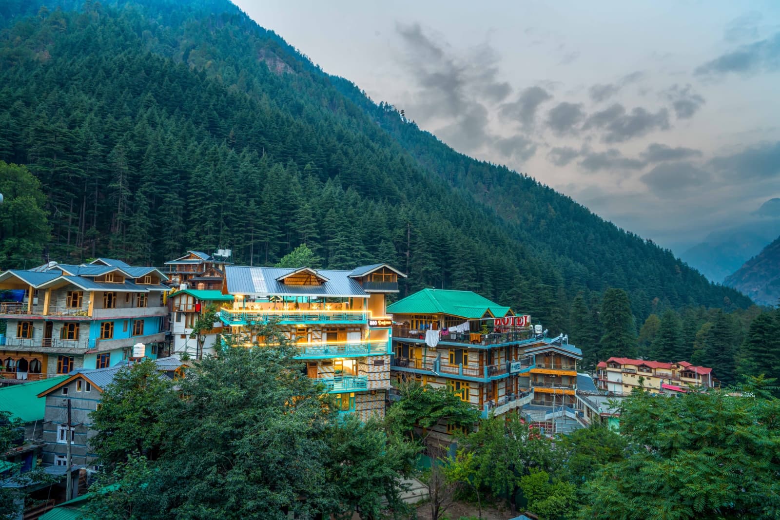 🎥 Content creator 