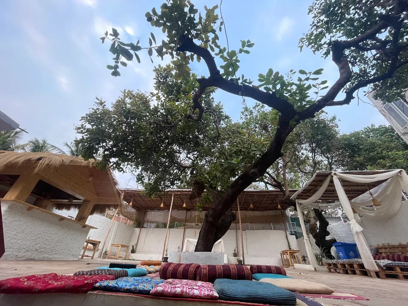 Event manager and bar Tender in vagator