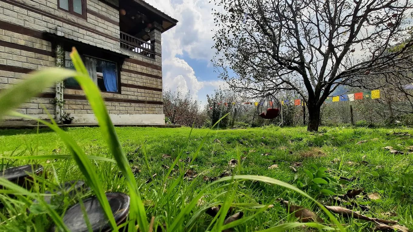 Volunteer Opportunity for Social Media manager and Community Manager