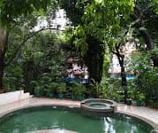 Hospitality and management in vagator 