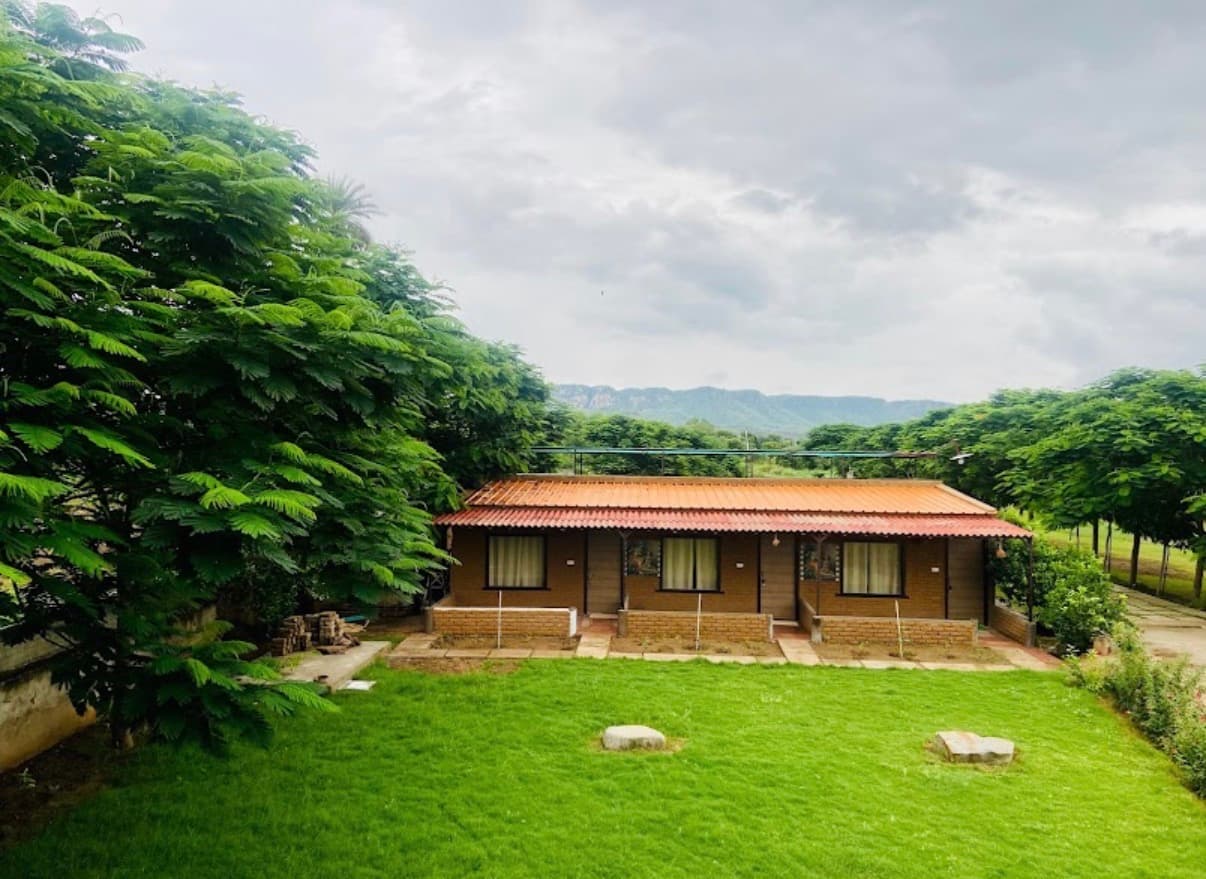 Photography & Social Media Volunteer