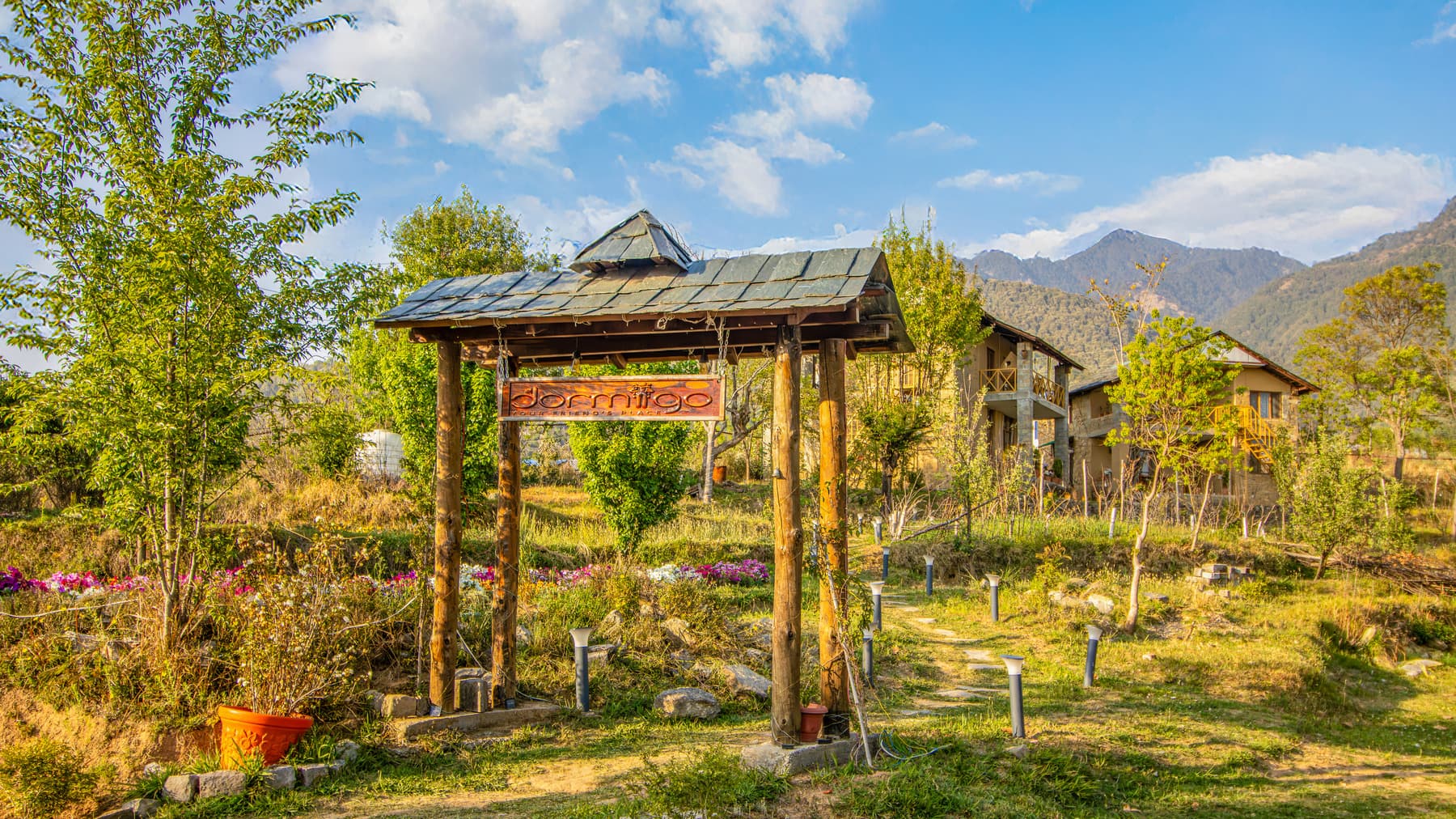 Social Media Content Creator