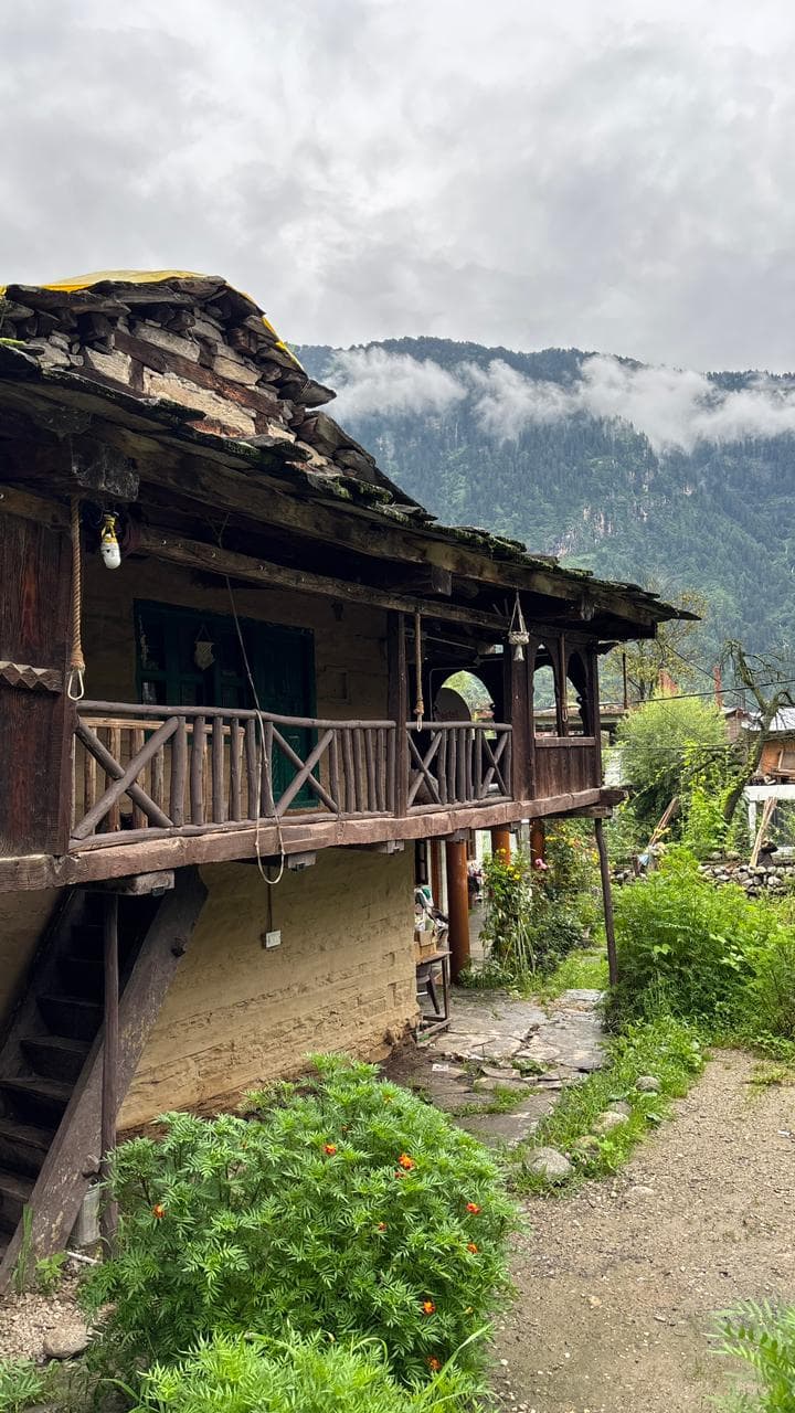 Social media cum helper