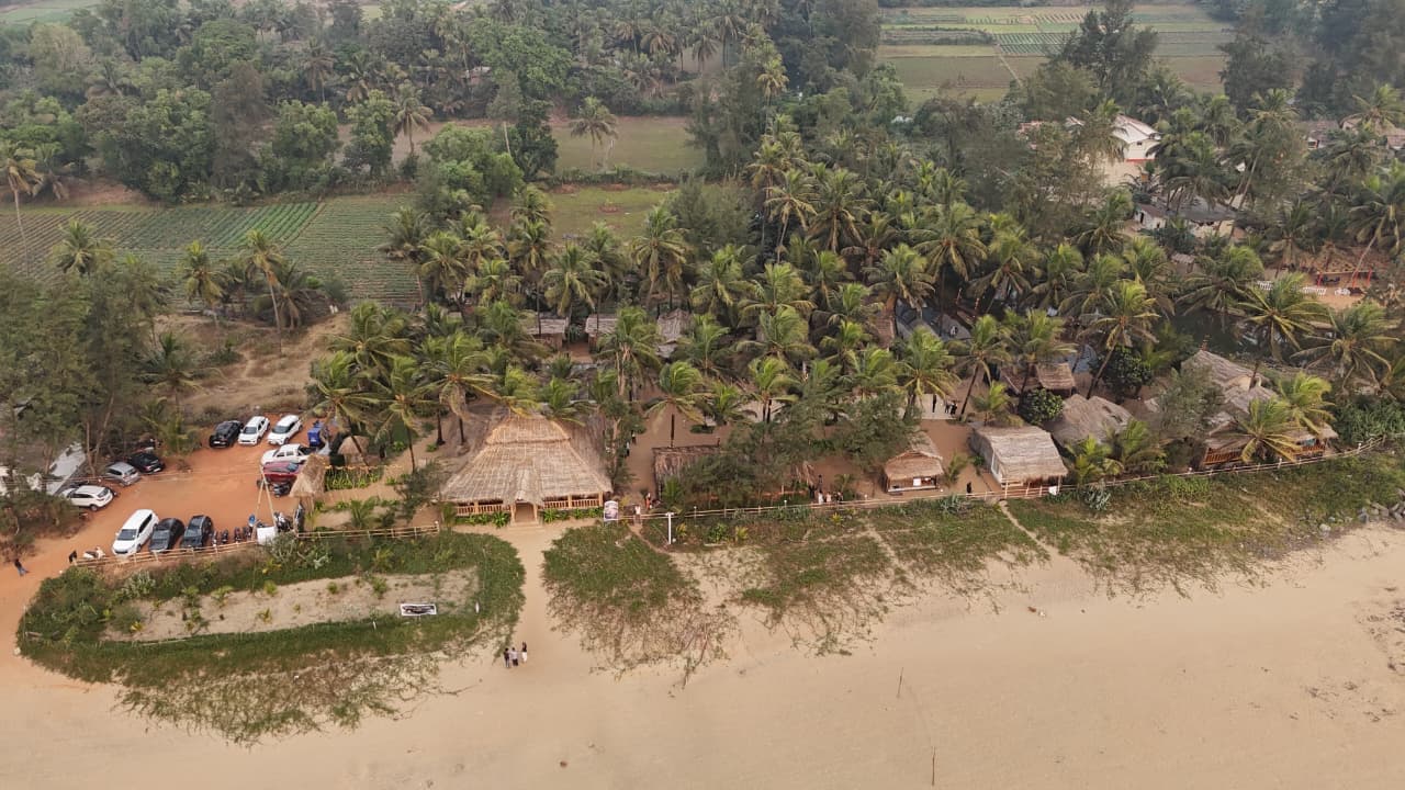 Guest Engagement & Events Coordinator (Volunteer)